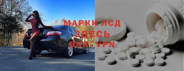 прущие грибы Верхний Тагил