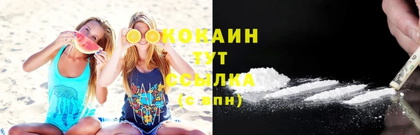 прущие грибы Верхний Тагил