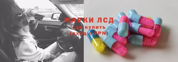 прущие грибы Верхний Тагил