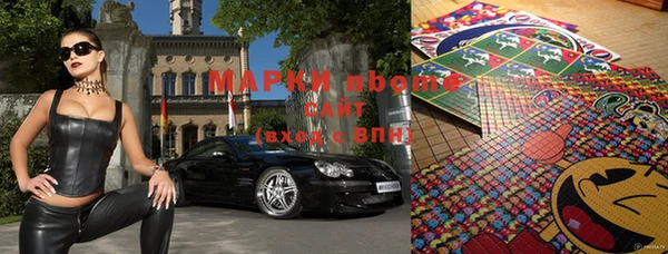 прущие грибы Верхний Тагил