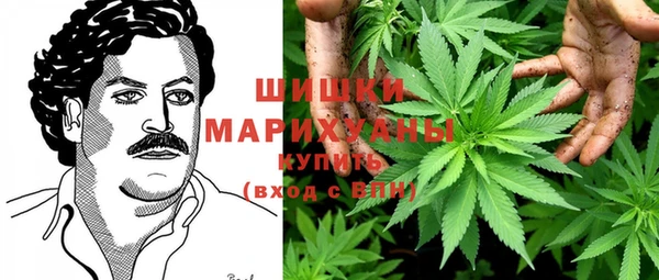 трава Верея