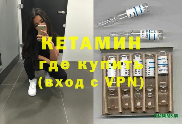 прущие грибы Верхний Тагил