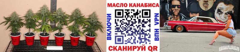 Купить закладки  Кизилюрт  Дистиллят ТГК вейп 