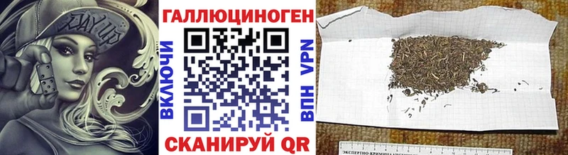Псилоцибиновые грибы GOLDEN TEACHER  Купить где  Кизилюрт 