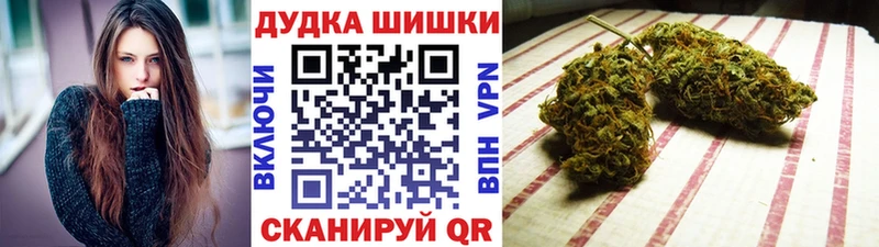 Шишки марихуана марихуана  Купить закладки  Кизилюрт 